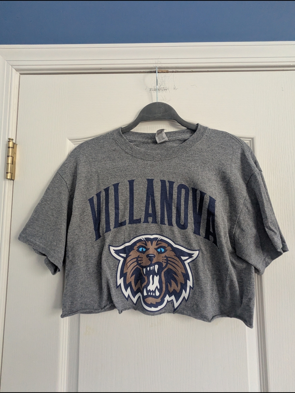 Villanova Cropped Tee with Mascot